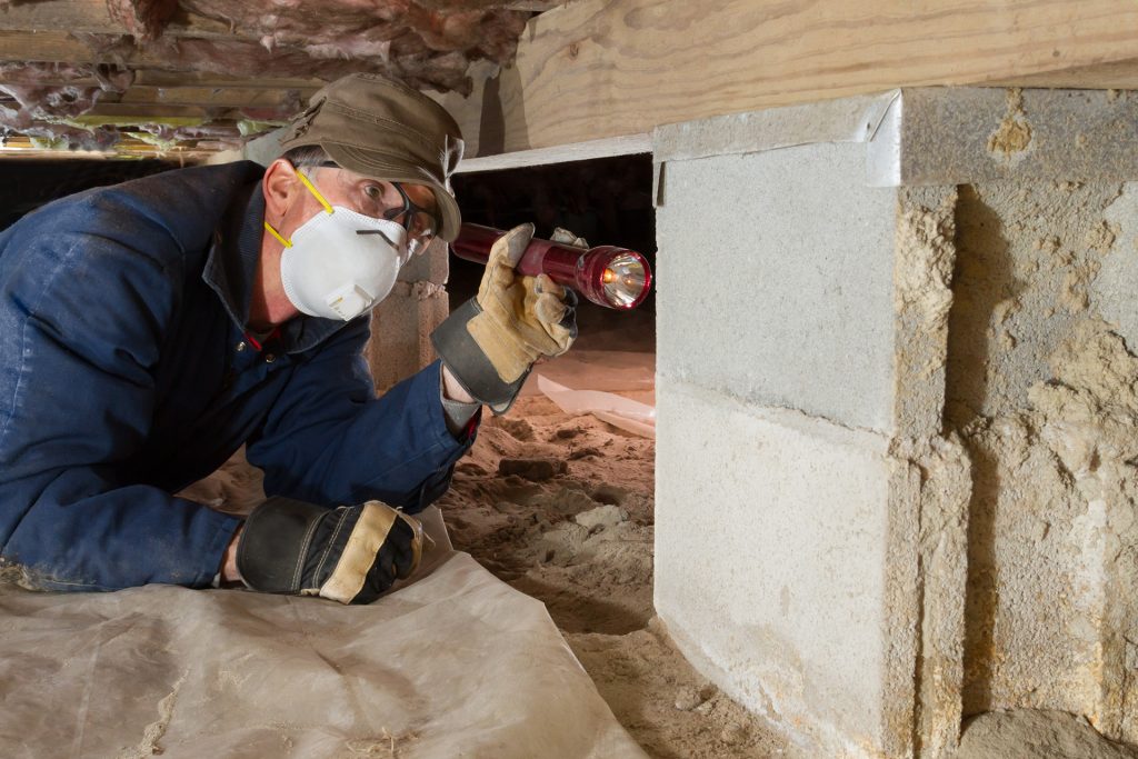 Real Estate Pest Inspection 1